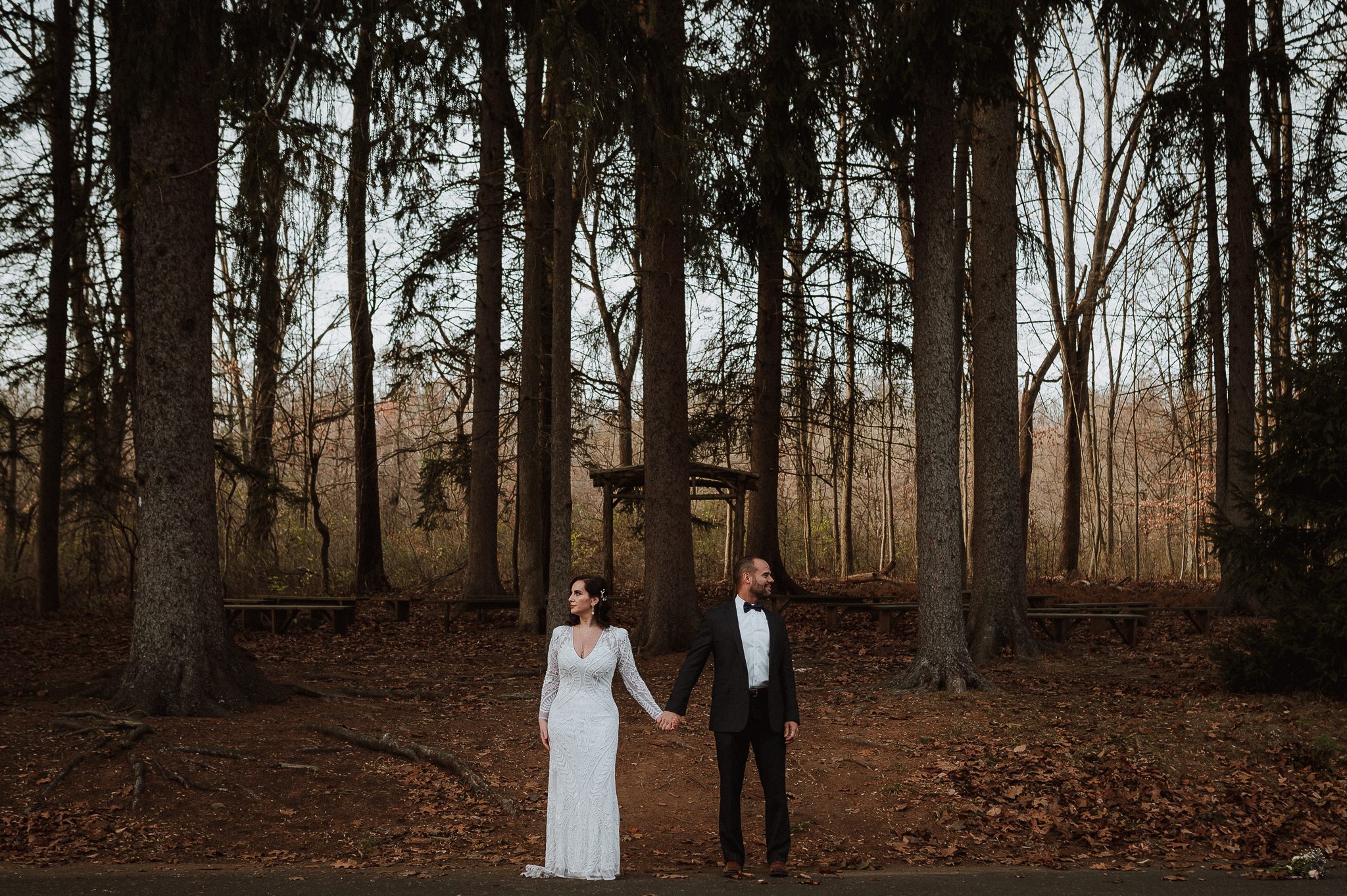 bride and groom stand with large pine trees around them looking in opposite directions