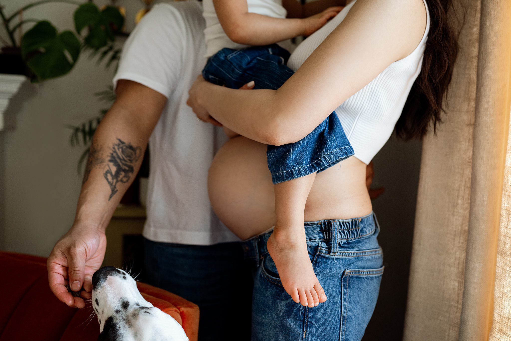 close-up family portrait of the details with their dog being fed a treat at an in-home premier maternity experience with joan marie photography in scotch plains nj