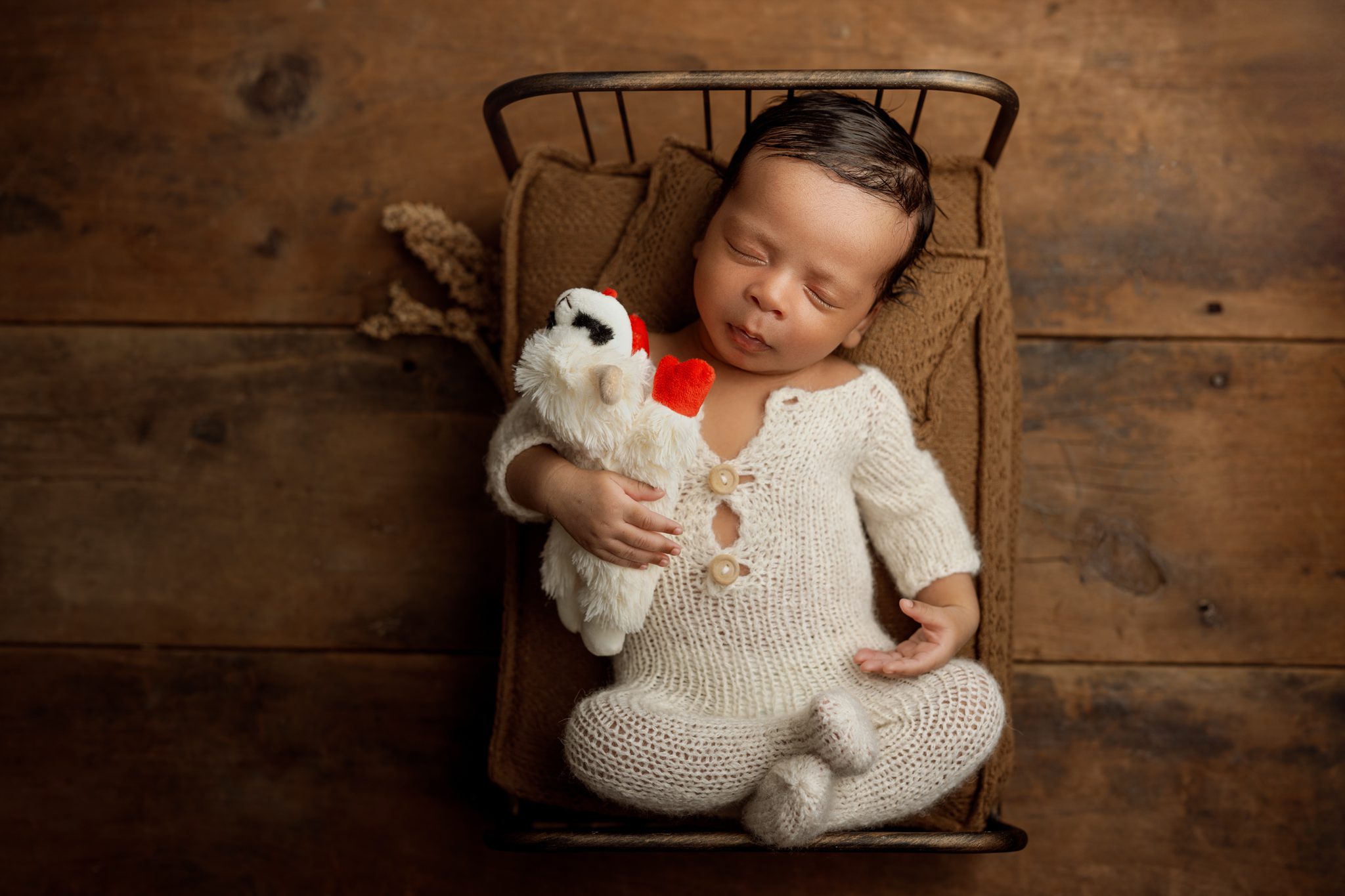 newborn baby on a little bed holding his lamb chop stuffed animal in his newborn photoshoot