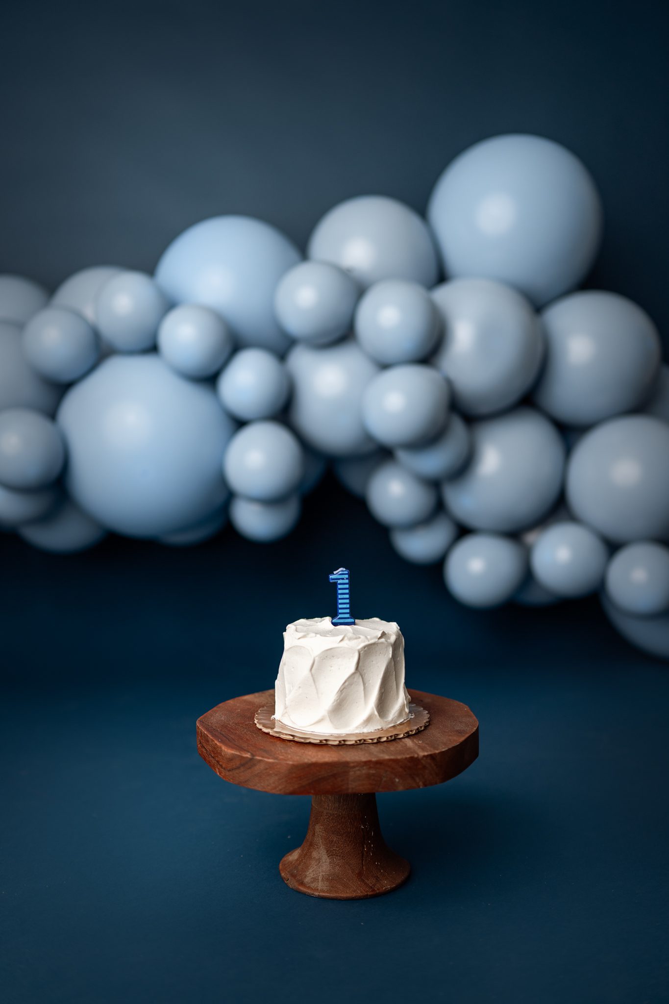 cake and balloon garland for a 1st birthday cake smash session in NJ